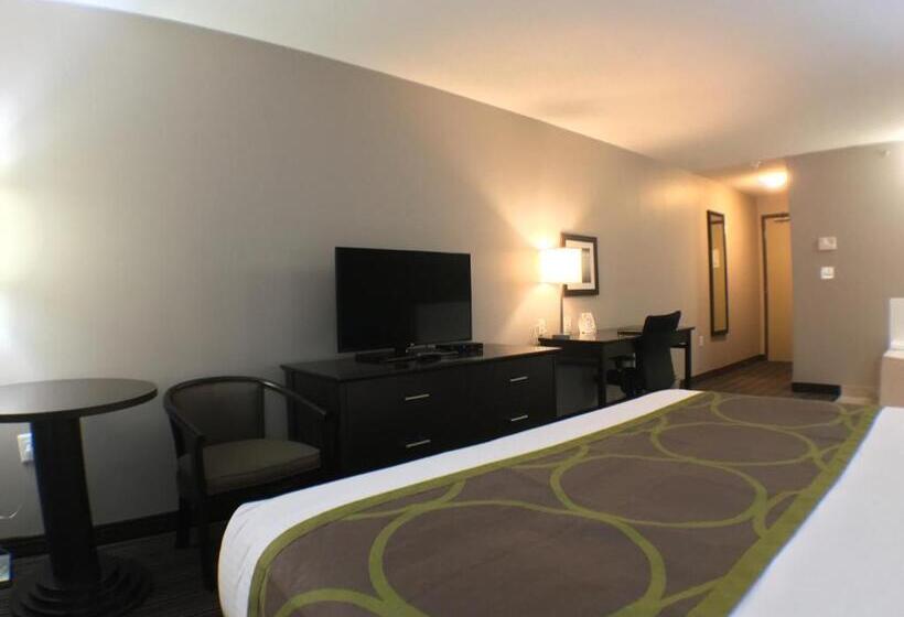 스위트 킹사이즈 침대, Super 8 By Wyndham Kapuskasing
