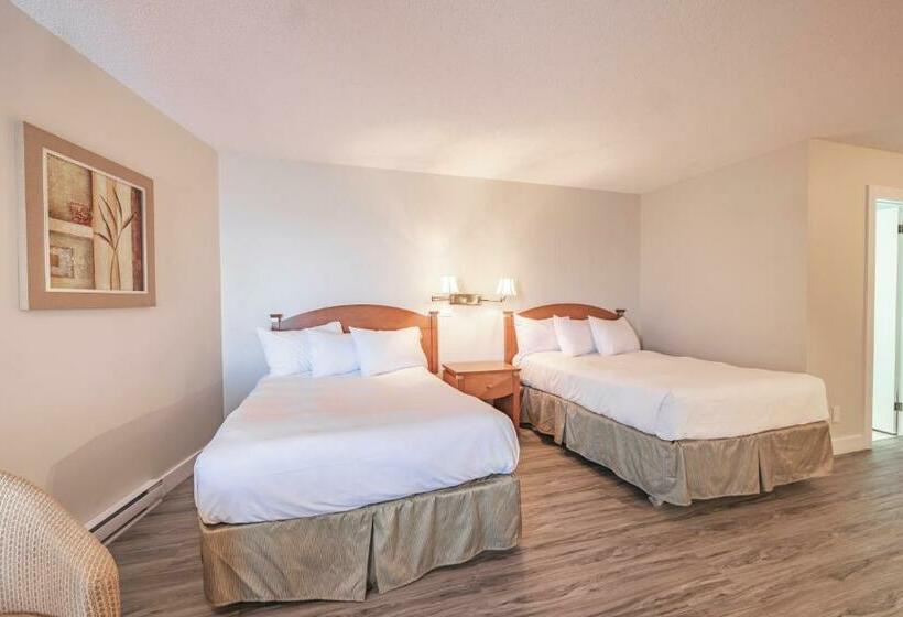 带海景的标准房, Le Gaspesiana