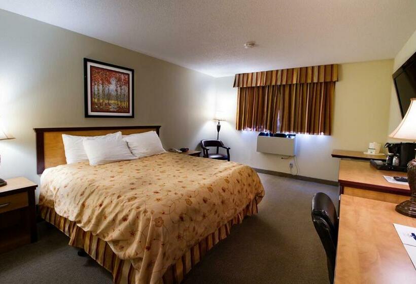 اتاق استاندارد با تخت بزرگ, Park West Inn
