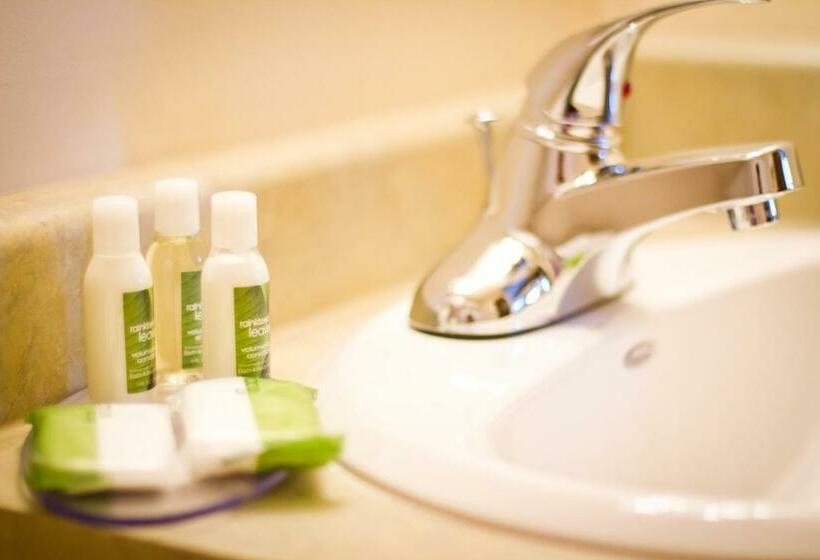 اتاق استاندارد با تخت بزرگ, Park West Inn