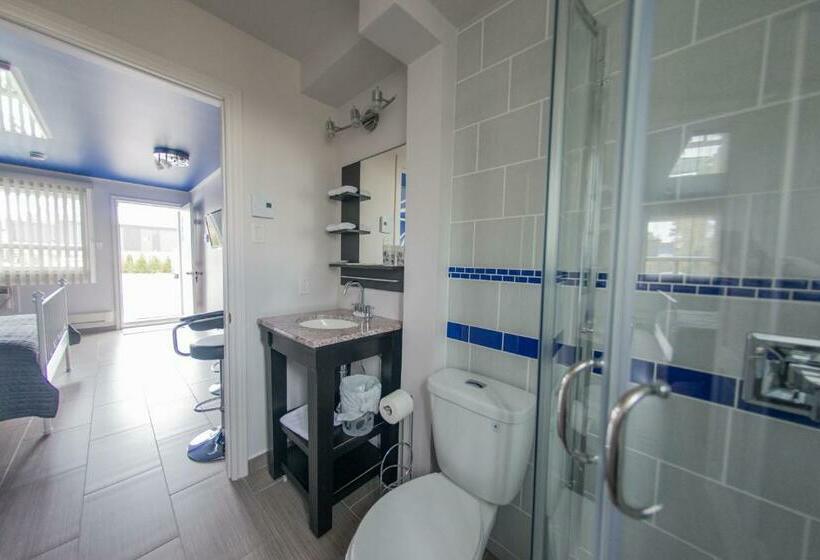 标准间带漩涡浴缸, Auberge St. Jacques