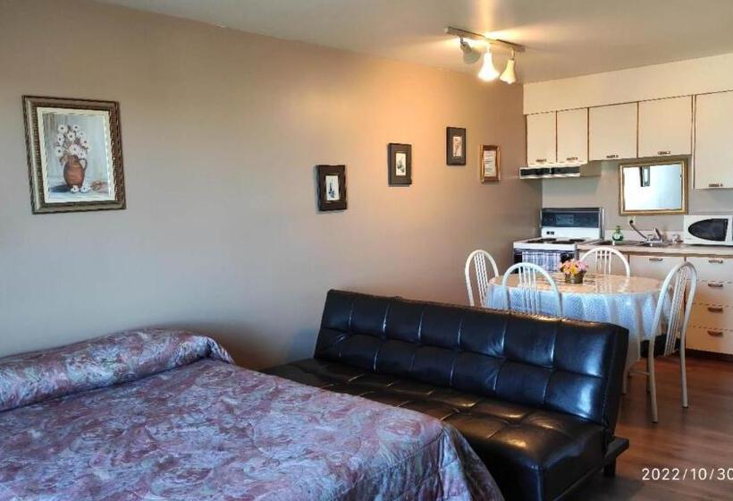 수피리어 스튜디오, Motel Rayalco