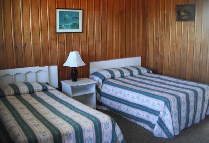 スタンダードルーム, Motel Seal Rock
