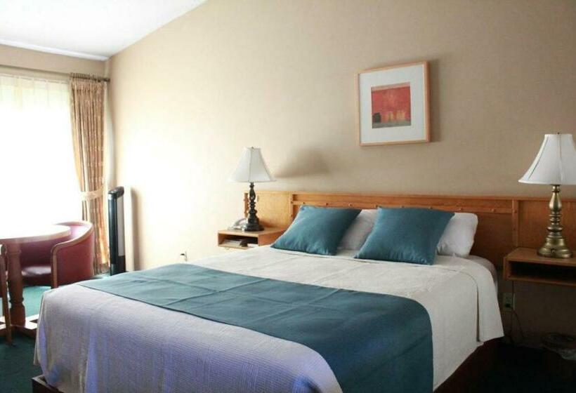 标准间, Sunshine Lodge Inn