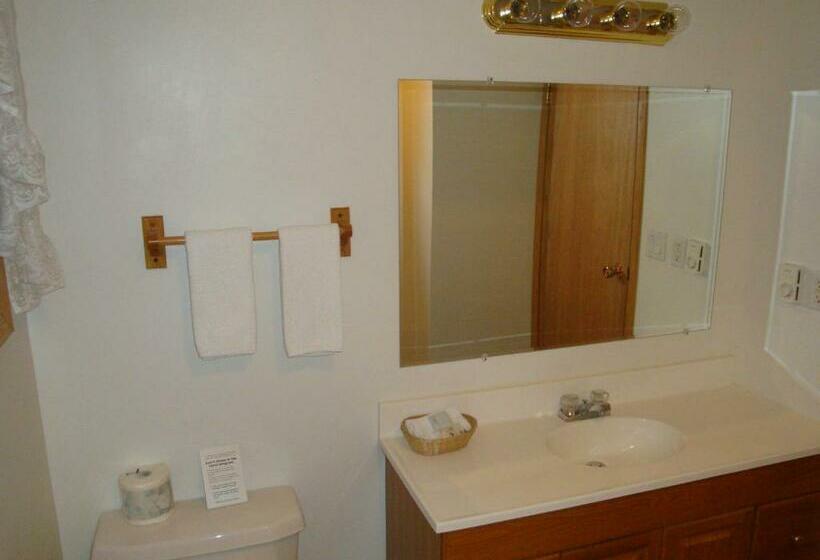 آپارتمان 1 خوابه بدون تهویه مطبوع, Motel Tyrol