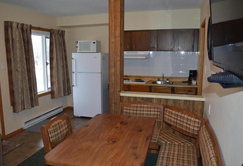 آپارتمان 1 خوابه بدون تهویه مطبوع, Motel Tyrol