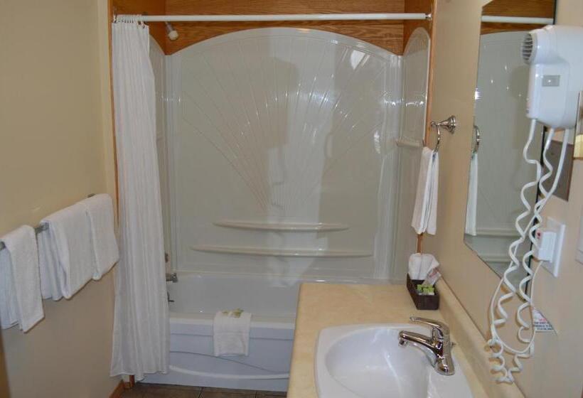 اتاق استاندارد بدون تهویه هوا, Motel Tyrol