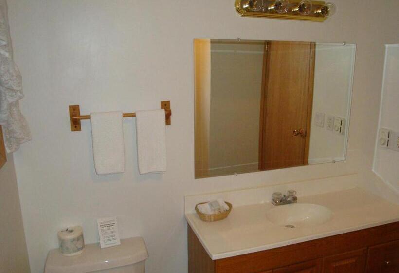 اتاق استاندارد یک تخته بدون تهویه هوا, Motel Tyrol