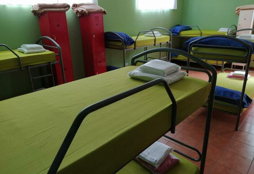 Cama en Habitación Compartida, Albergue O Bordón