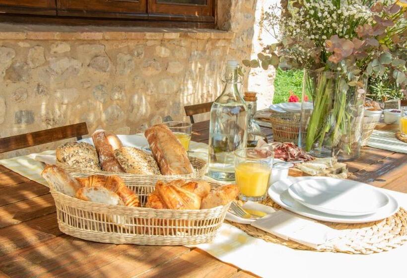 اتاق استاندارد با چشمانداز باغ, Mas Camins