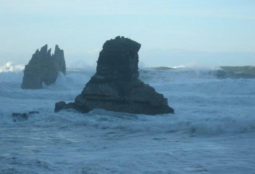 اتاق سوپریور, Finca Portizuelo