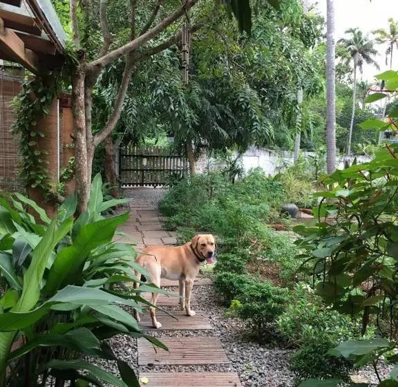 اتاق استاندارد اینتریور, Villa Akasa