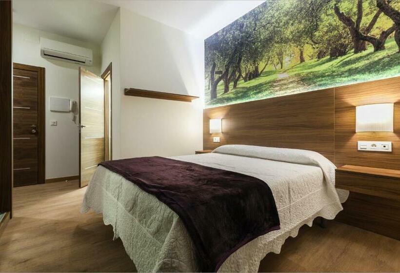 اتاق استاندارد یک نفره, Hostal Arriola