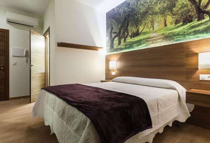 اتاق استاندارد یک نفره, Hostal Arriola