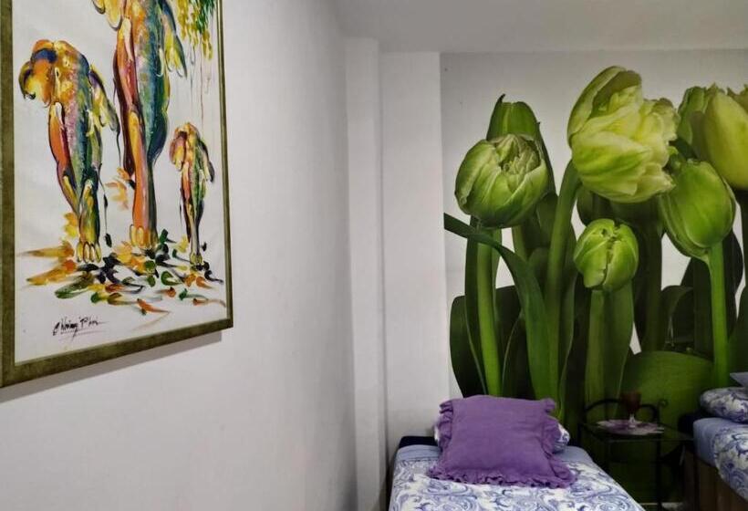 Standardzimmer, Málaga Centro Hostel