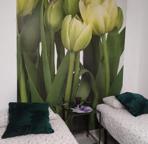 اتاق استاندارد, Málaga Centro Hostel