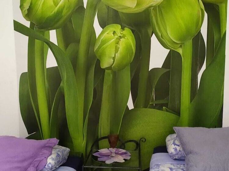 Standardzimmer, Málaga Centro Hostel