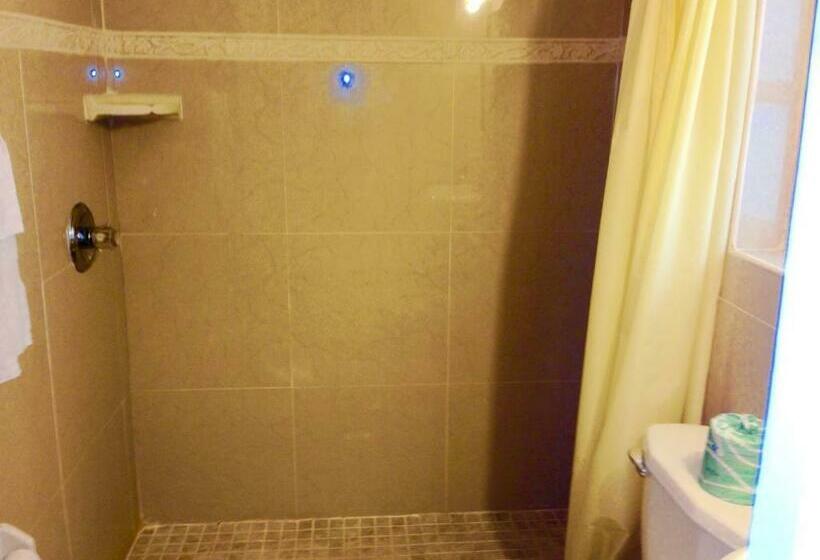 غرفة قياسية فردية لذوى الإحتياجات الخاصة, Cadillac Motel