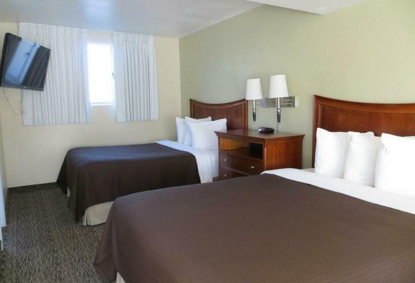 标准间, Coronet Motel