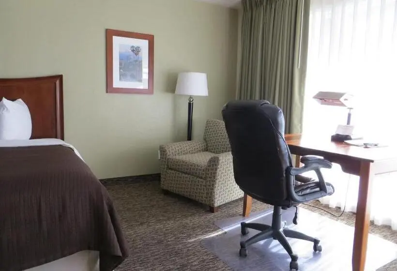身障者適用スタンダードルーム, Coronet Motel