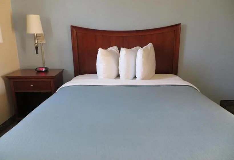 身障者適用スタンダードルーム, Coronet Motel