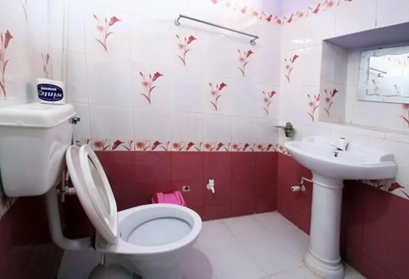 Basic-huone, Renuka