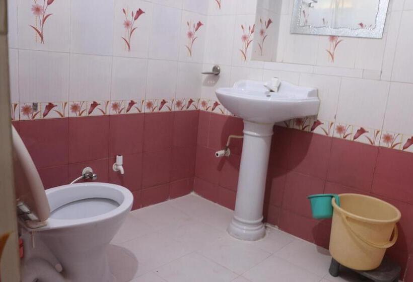 ベーシックルーム, Renuka