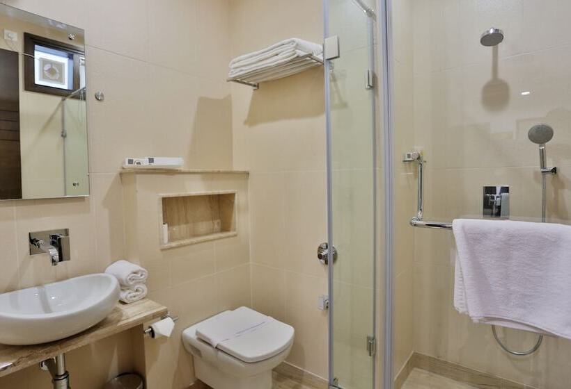 豪华房间, D Presidente