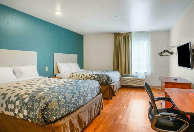 带2个双人床的标准工作室, Econo Lodge Hammond