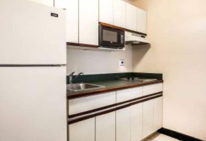 带2个双人床的标准工作室, Econo Lodge Hammond