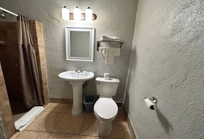 غرفة قياسية سرير مزدوج, Aladdin Motel