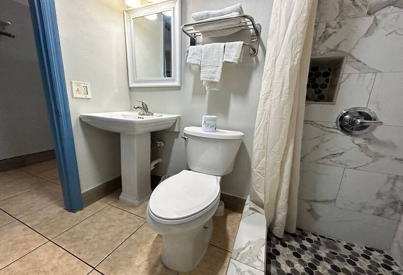 Номер Стандарт Двуспальная Кровать, Aladdin Motel
