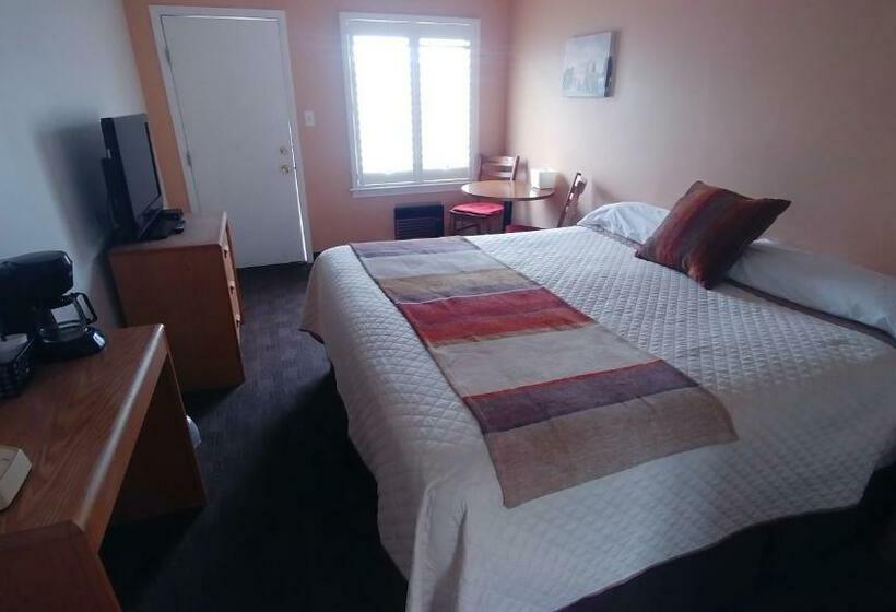 스탠다드 룸 킹사이즈 침대, Blue Pine Motel