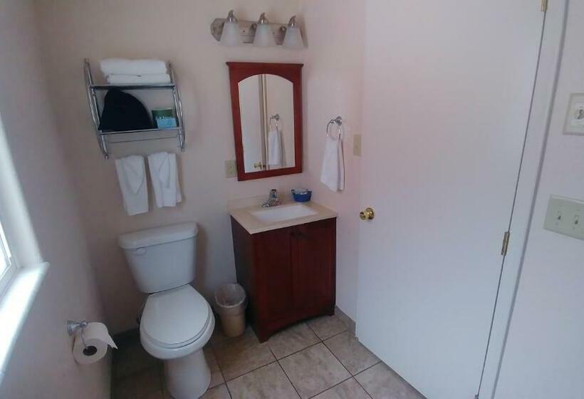 带大床的标准间, Blue Pine Motel