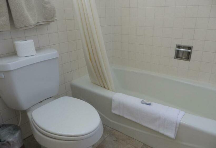 غرفة قياسية, Bristlecone Motel