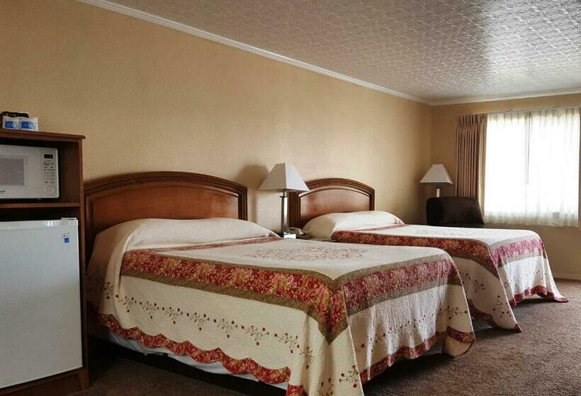 Номер Стандарт, Bristlecone Motel