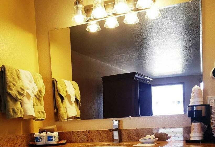 Номер Стандарт, Bristlecone Motel