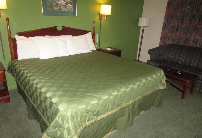 غرفة قياسية سرير كينج, Gas Lite Motel Lawrenceville