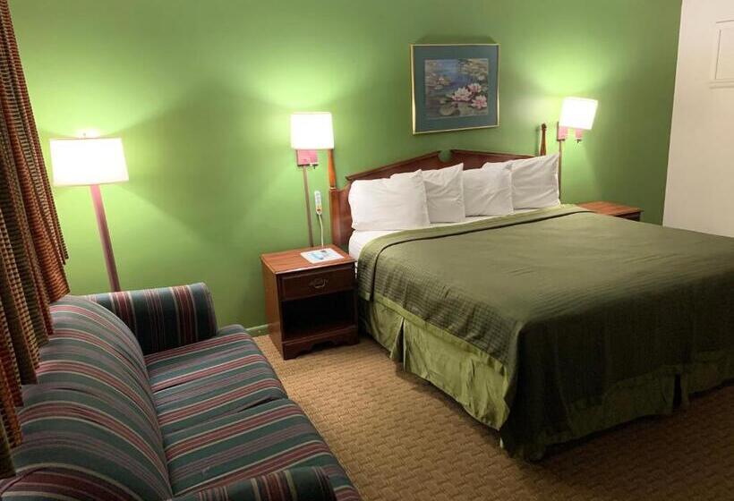 غرفة قياسية سرير كينج, Gas Lite Motel Lawrenceville