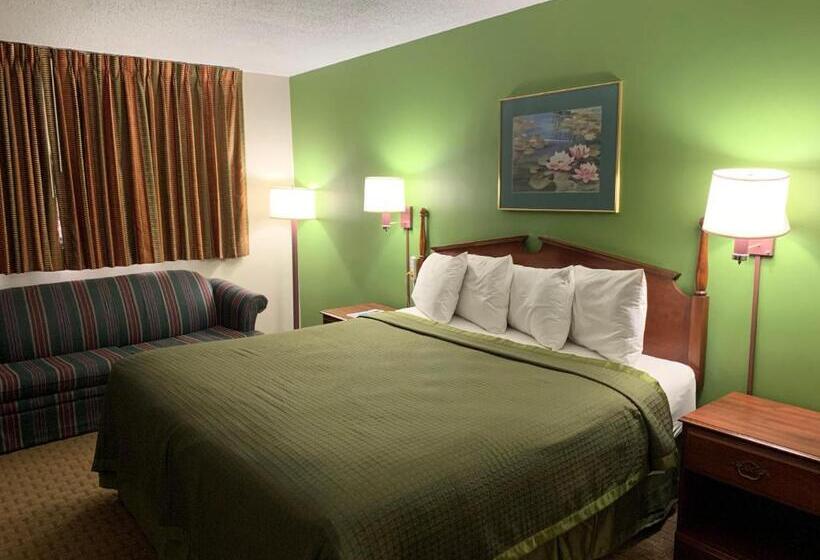 غرفة قياسية سرير كينج, Gas Lite Motel Lawrenceville