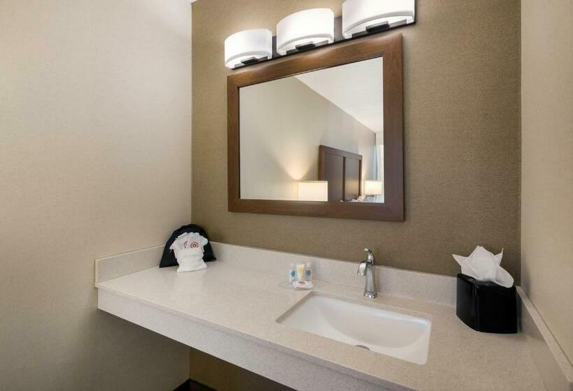 ２ダブルベッドのスタンダードルーム, Comfort Inn Virginia Horse Center