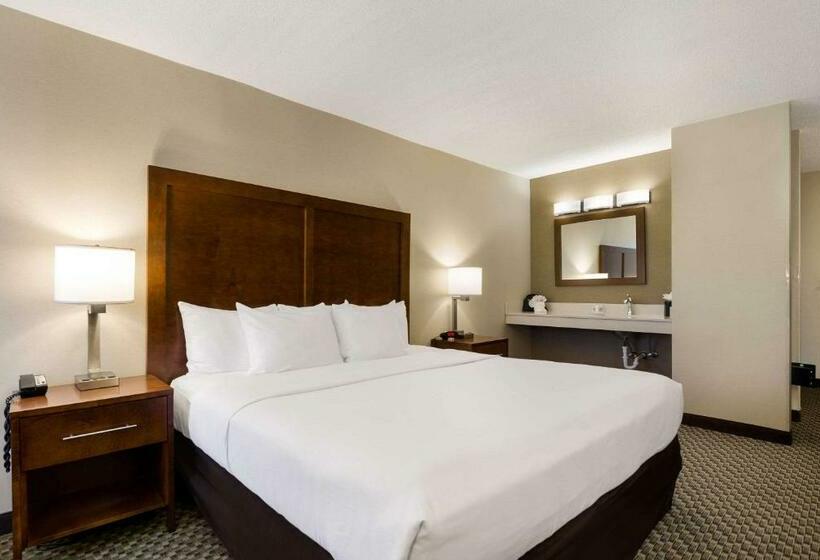 身障者適用キングサイズベッドルーム, Comfort Inn Virginia Horse Center