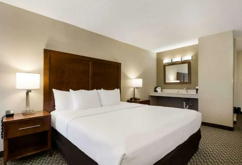 身障者適用キングサイズベッドルーム, Comfort Inn Virginia Horse Center