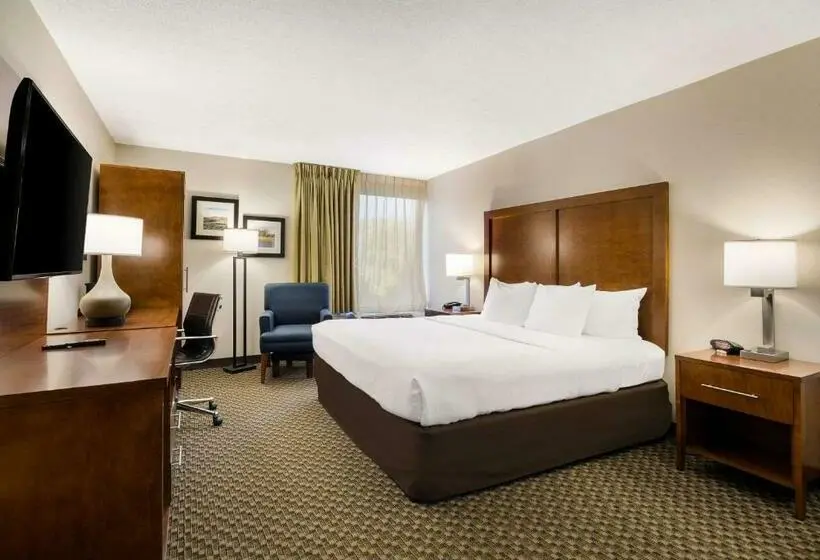 身障者適用キングサイズベッドルーム, Comfort Inn Virginia Horse Center