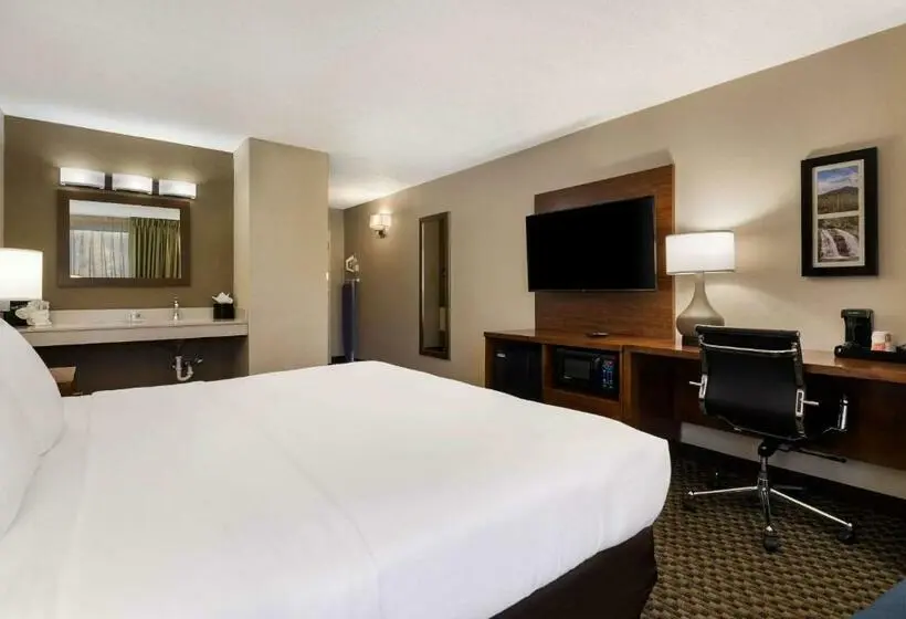 身障者適用キングサイズベッドルーム, Comfort Inn Virginia Horse Center