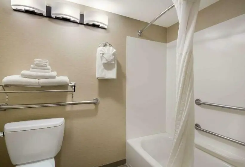 身障者適用キングサイズベッドルーム, Comfort Inn Virginia Horse Center