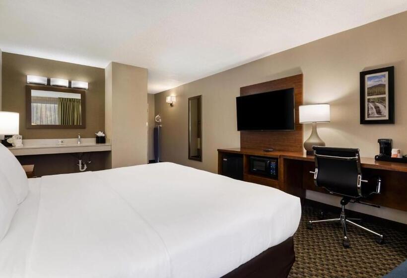 Номер Стандарт Кровать Кинг Адаптированный для Инвалидов, Comfort Inn Virginia Horse Center