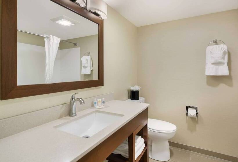 ２ダブルベッドのスタンダードルーム, Comfort Inn Virginia Horse Center