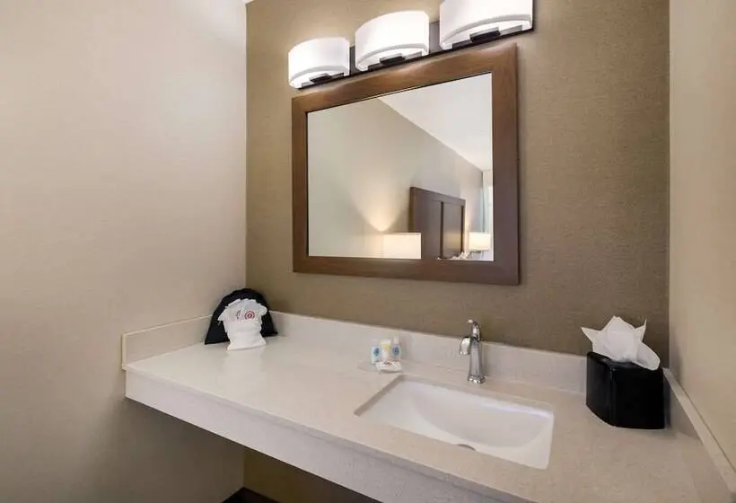 ２ダブルベッドのスタンダードルーム, Comfort Inn Virginia Horse Center