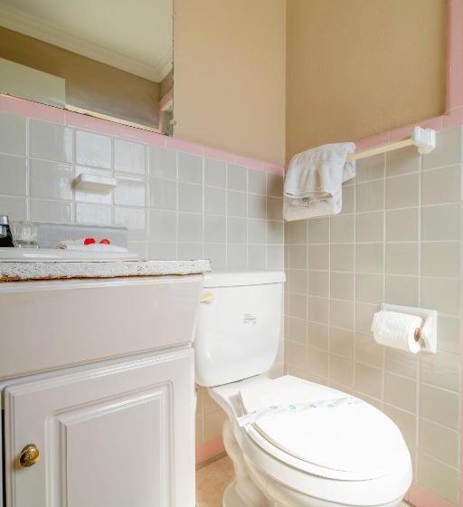 غرفة ديلوكس سرير كينج, Esquire Inn